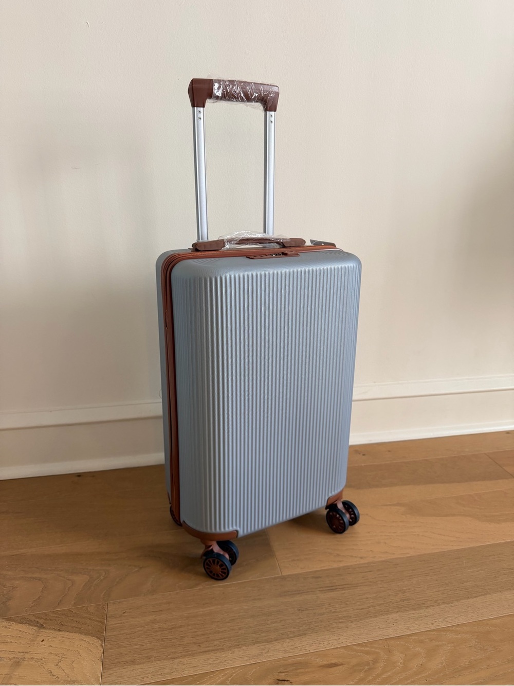 Carry-On Luggage 20 Lightweight Travel Suitcase with Spinner Wheels TSA Lock Gra